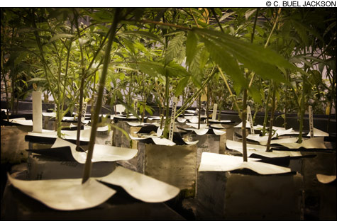 0912_pot2_main 0912_pot2_main