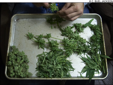 0912_pot3_main