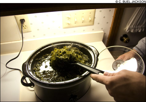 0912_pot4_main 0912_pot4_main