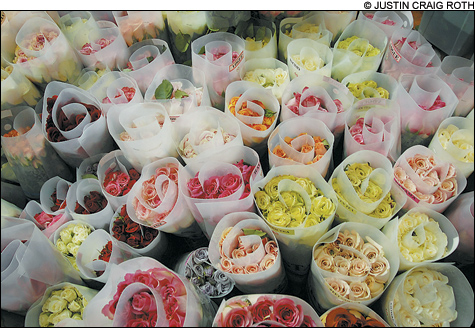 1002_flowers_main 1002_flowers_main
