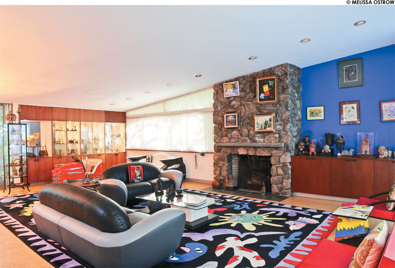 dershowitz_rug