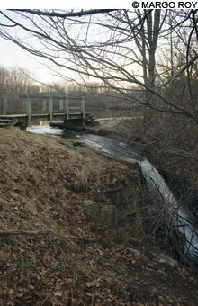 HinckleyPark_cMargoRoy HinckleyPark_cMargoRoy