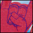 070420_best_list