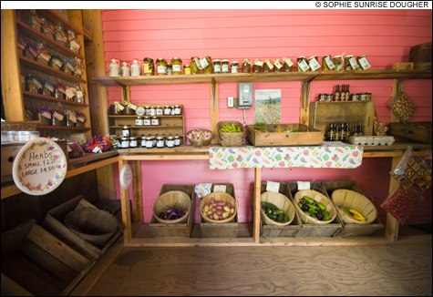 feat_farm_spuds4_display_So.jpg feat_farm_spuds4_display_So.jpg