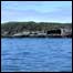 list_SaveTheBay_outerbrewst