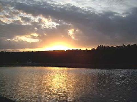 main_walden_480
