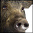 Unsexy_thumb-2010