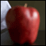060127_altbach_list