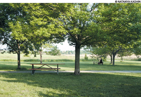 picnics in boston at Belle Isle Marsh Reservation