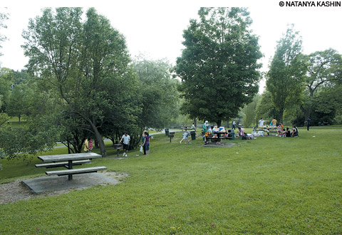 picnics in boston at Larz Anderson Park