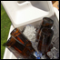 Beer_073010_list
