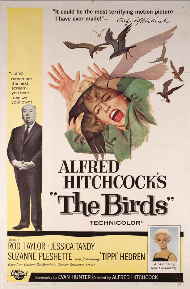 birds2 birds2