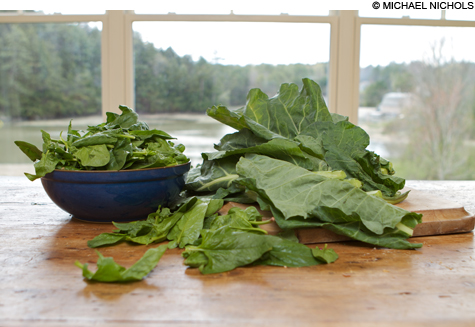 food_collards_main food_collards_main