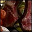 081227_food_list