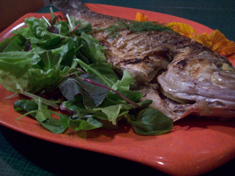 fish main fish main