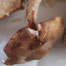 food_mushrooms_66