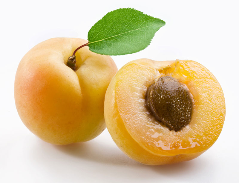 main2_apricot_800