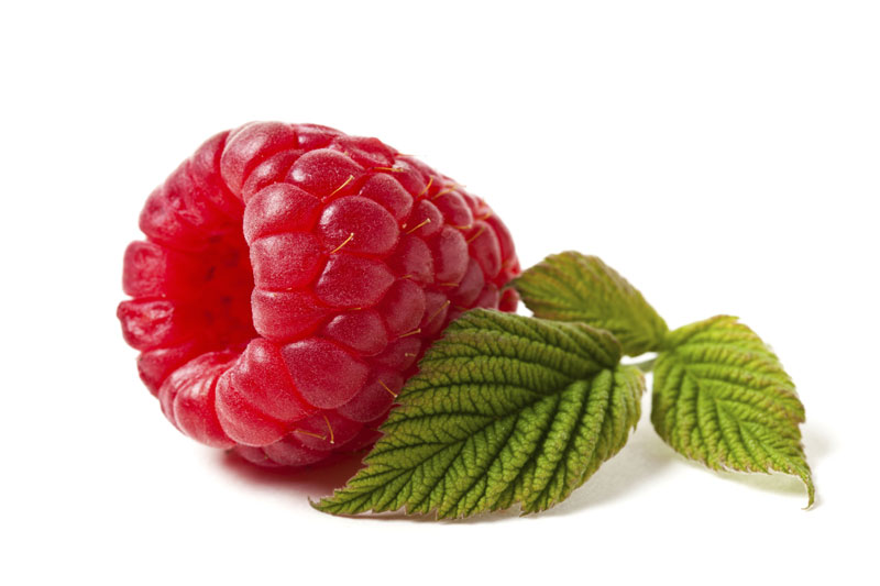 main2_raspberry_800