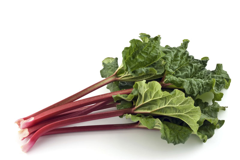 main2_rhubarb_800