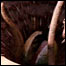 080125_sarlacc-list