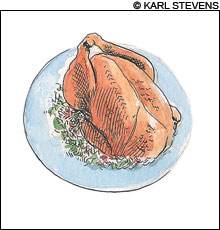 turkey_main