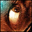 070105_list_black