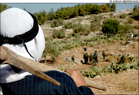 film_CIFF_Budrus_main film_CIFF_Budrus_main