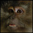 list_MotherofTears_013.jpg