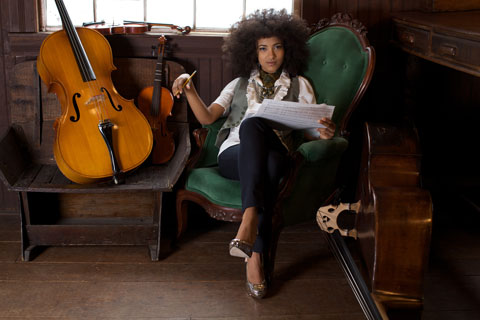 main_BostonChamberMusic_480