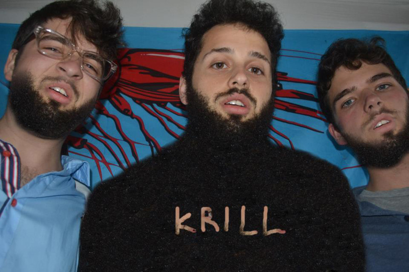 BMP_Blog_Krill800