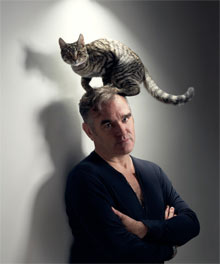 morrissey cat