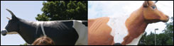 080711_tfy_slot