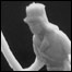081212_portland_list2