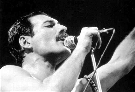 1001_freddie_main
