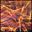 iidelist_classical_pops_062