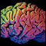 061222_list_brain