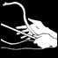 060512_list_lifeline.jpg