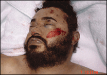 060609_zarqawi_main1 060609_zarqawi_main1