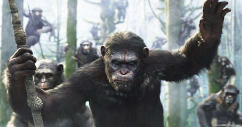 0613_Sum_Film_apes_top.jpg 0613_Sum_Film_apes_top.jpg