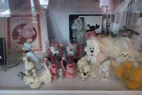0725_Woon_poodle_top.jpg 0725_Woon_poodle_top.jpg