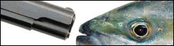 0911_cover-Slot35
