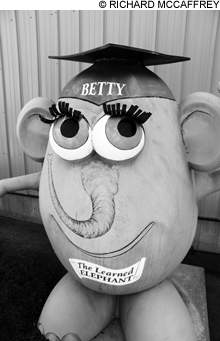 Betty_main2 Betty_main2