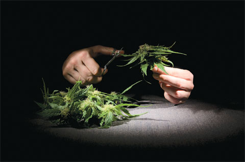 COL_Pot_156824228