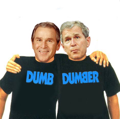 Dumbanddumber_bush