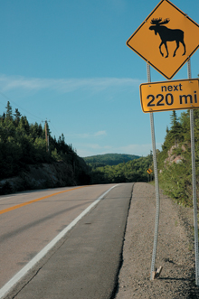 Feature_moosecrossing_main Feature_moosecrossing_main