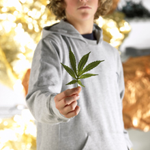 Marijuana_main Marijuana_main