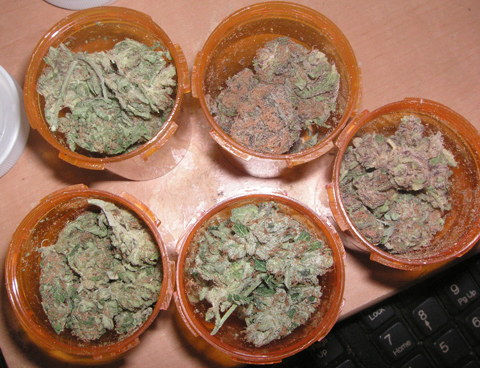 Medicinal_Marijuana_main Medicinal_Marijuana_main