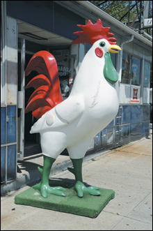 ROOSTER_LISTS_main