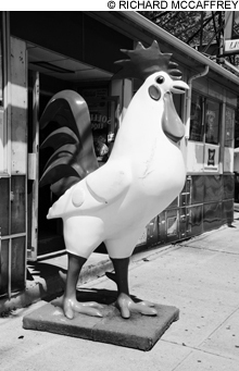 ROOSTER_main2 ROOSTER_main2