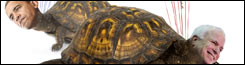 080725_tote_slot